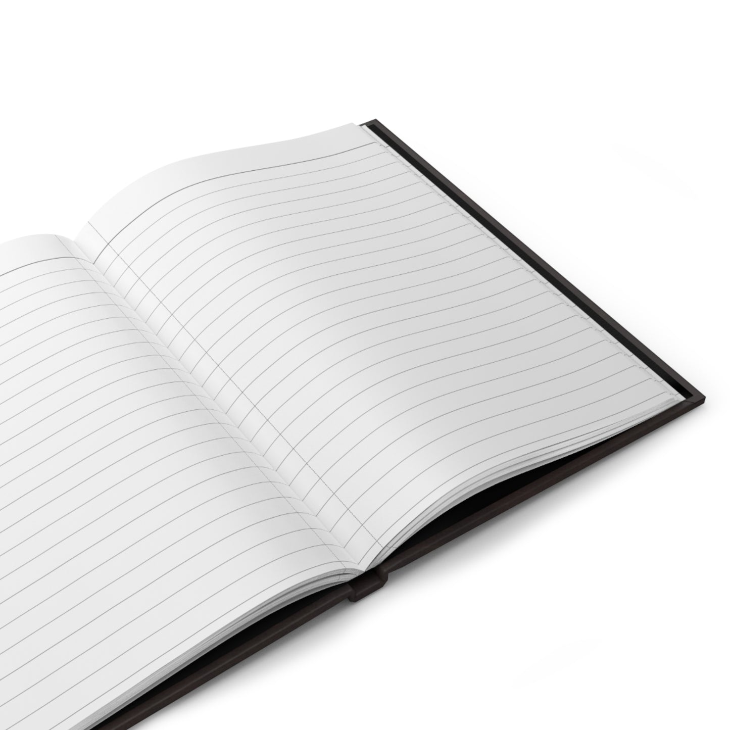 Rants, Gripes & Grievances, Writing Journal