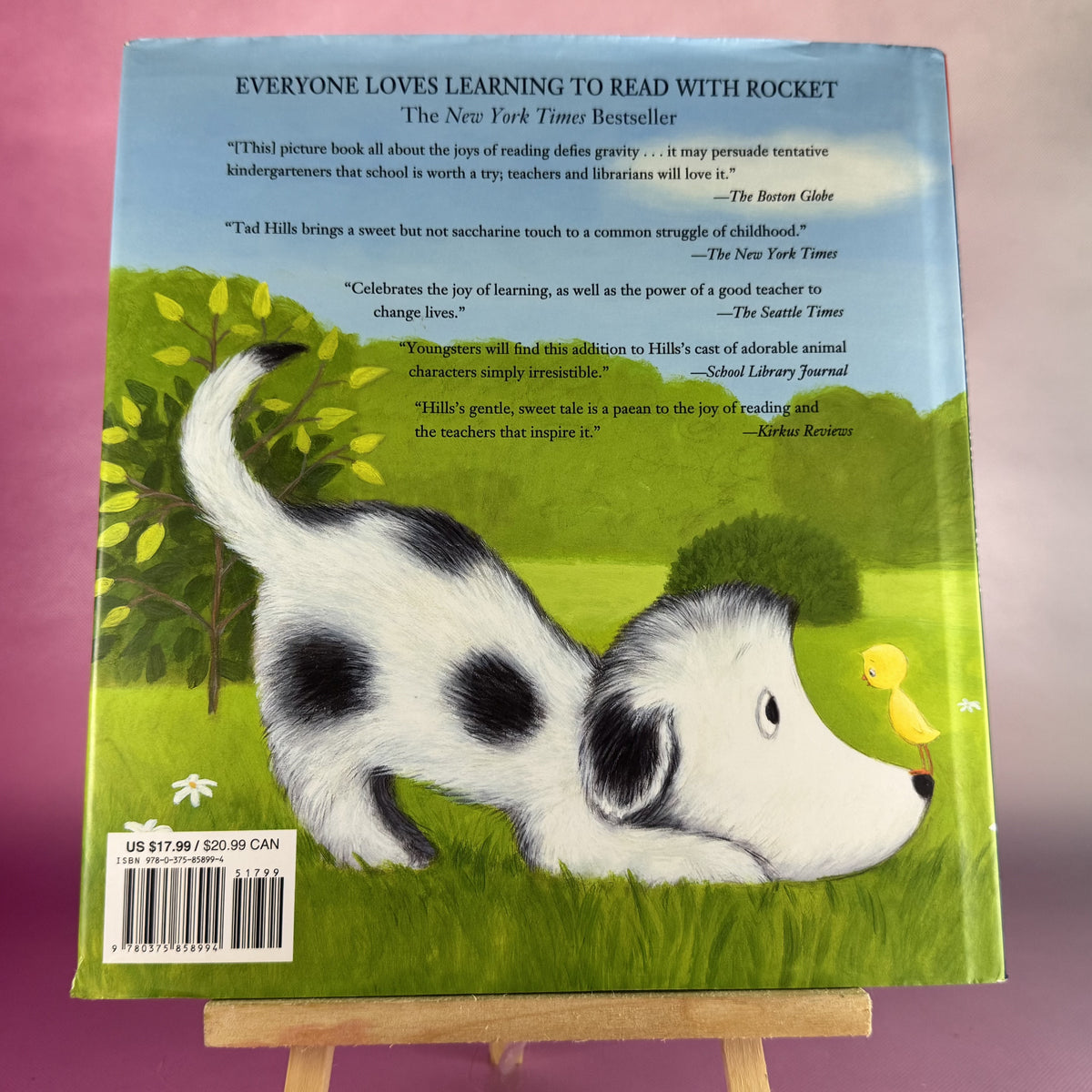 How Rocket Learned to Read
