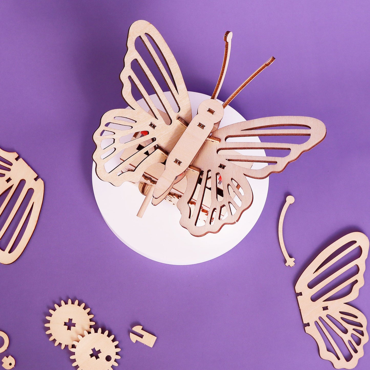 Fluttering Butterfly STEM Kit