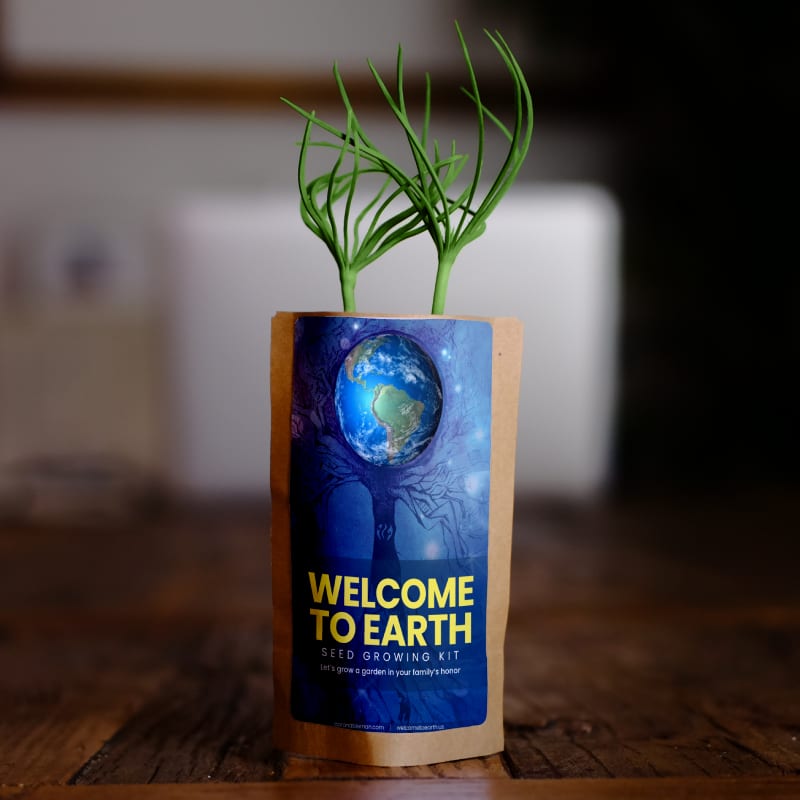 Welcome to Earth Tree Pouch by Aaron Ableman