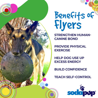 Magnum Bottle Top Flyer Rubber Frisbee for Heavy Chewers | Large | USA Made