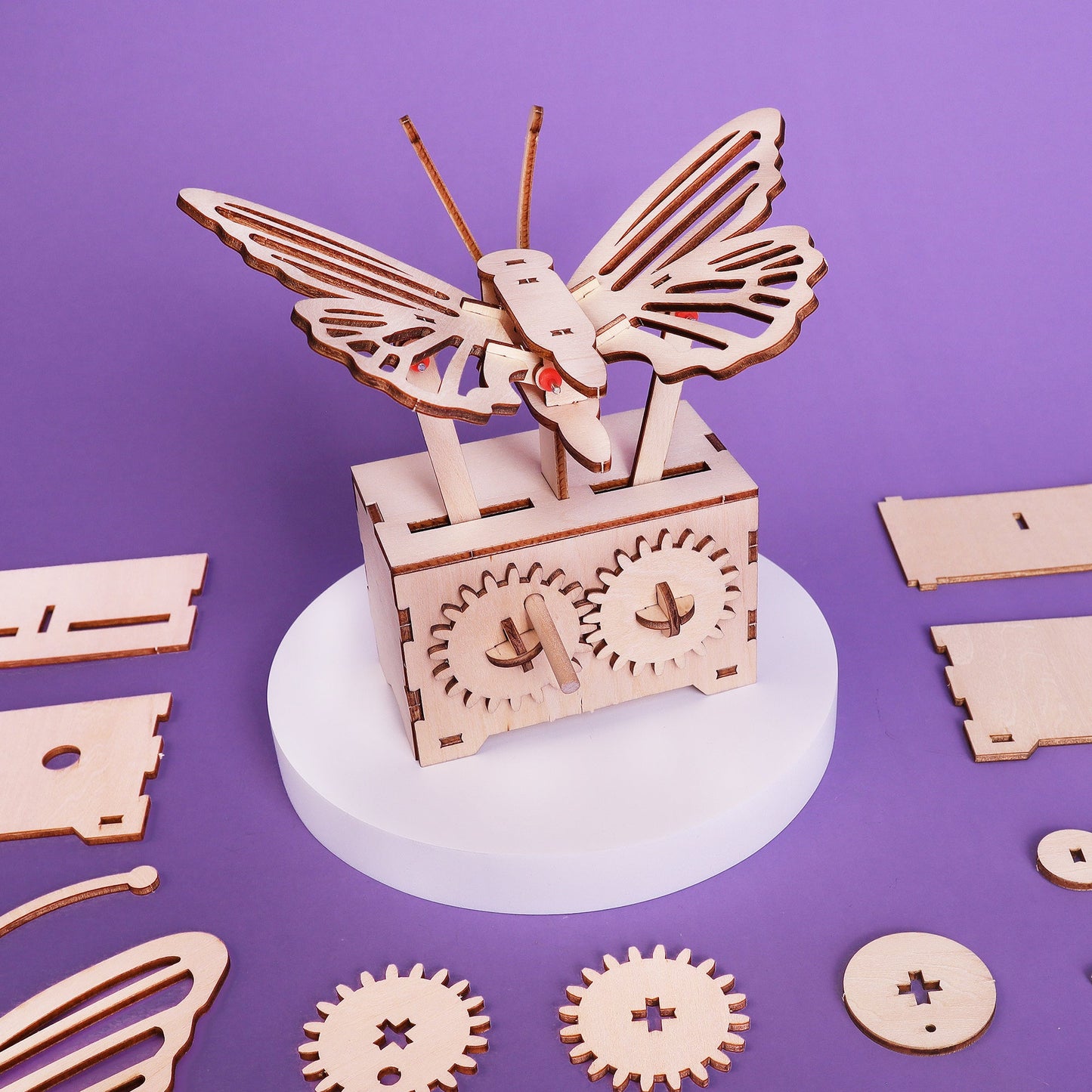 Fluttering Butterfly STEM Kit
