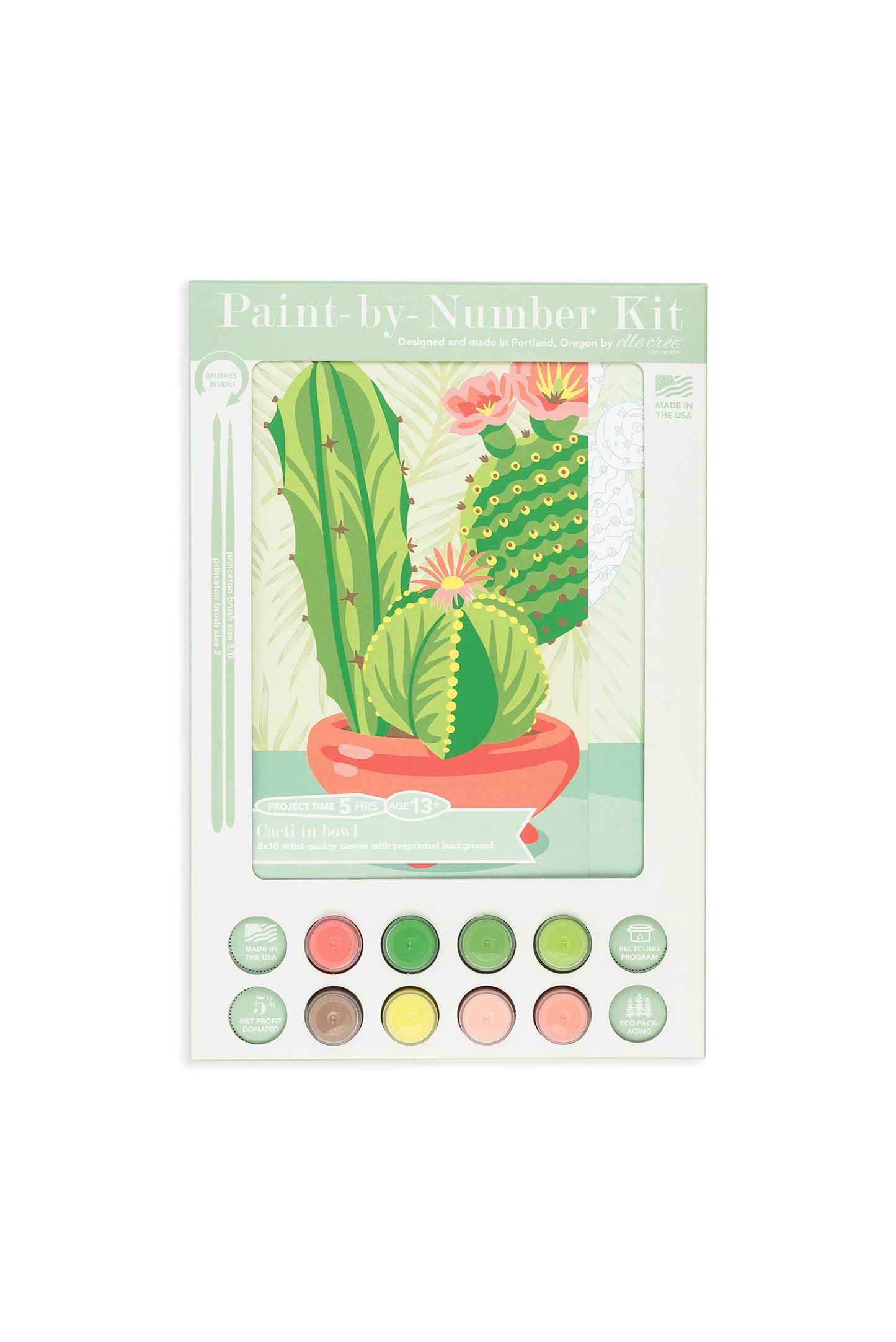 Cacti in Bowl  8x10 paint-by-number kit