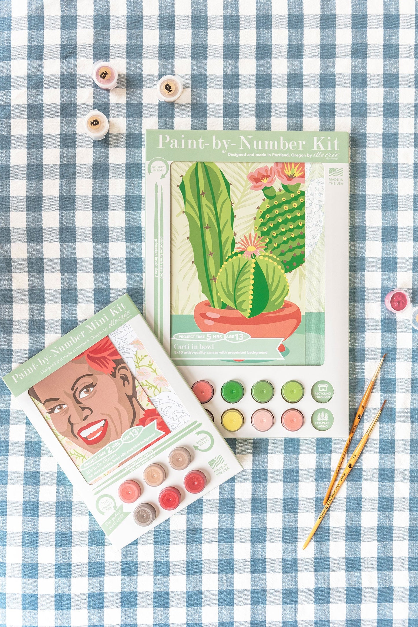 Cacti in Bowl  8x10 paint-by-number kit