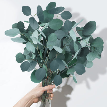 White Eucalyptus - REED DIFFUSER  – Fresh Clean Aromatherapy Scent