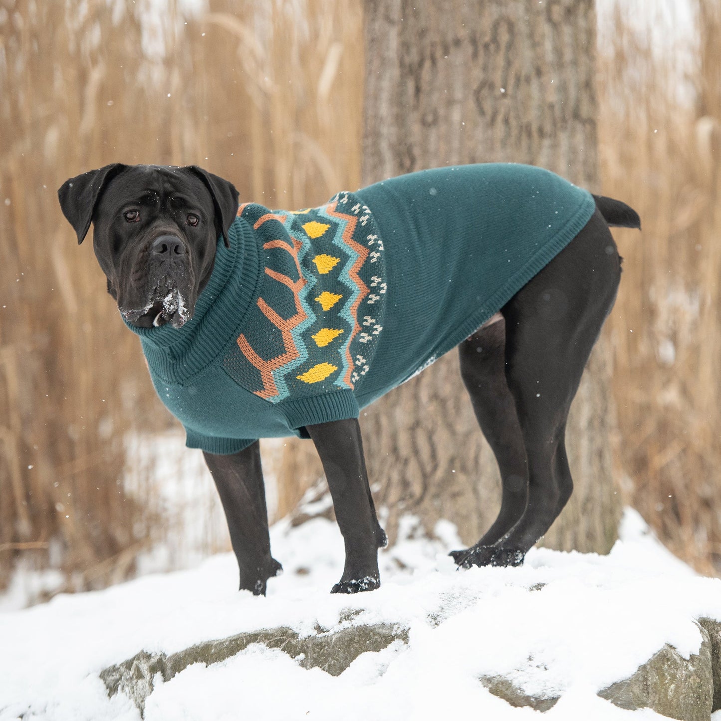 Heritage Knitted Pet Sweater