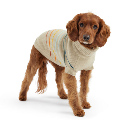 Warm and Cozy Dog Sweater - Multicolor