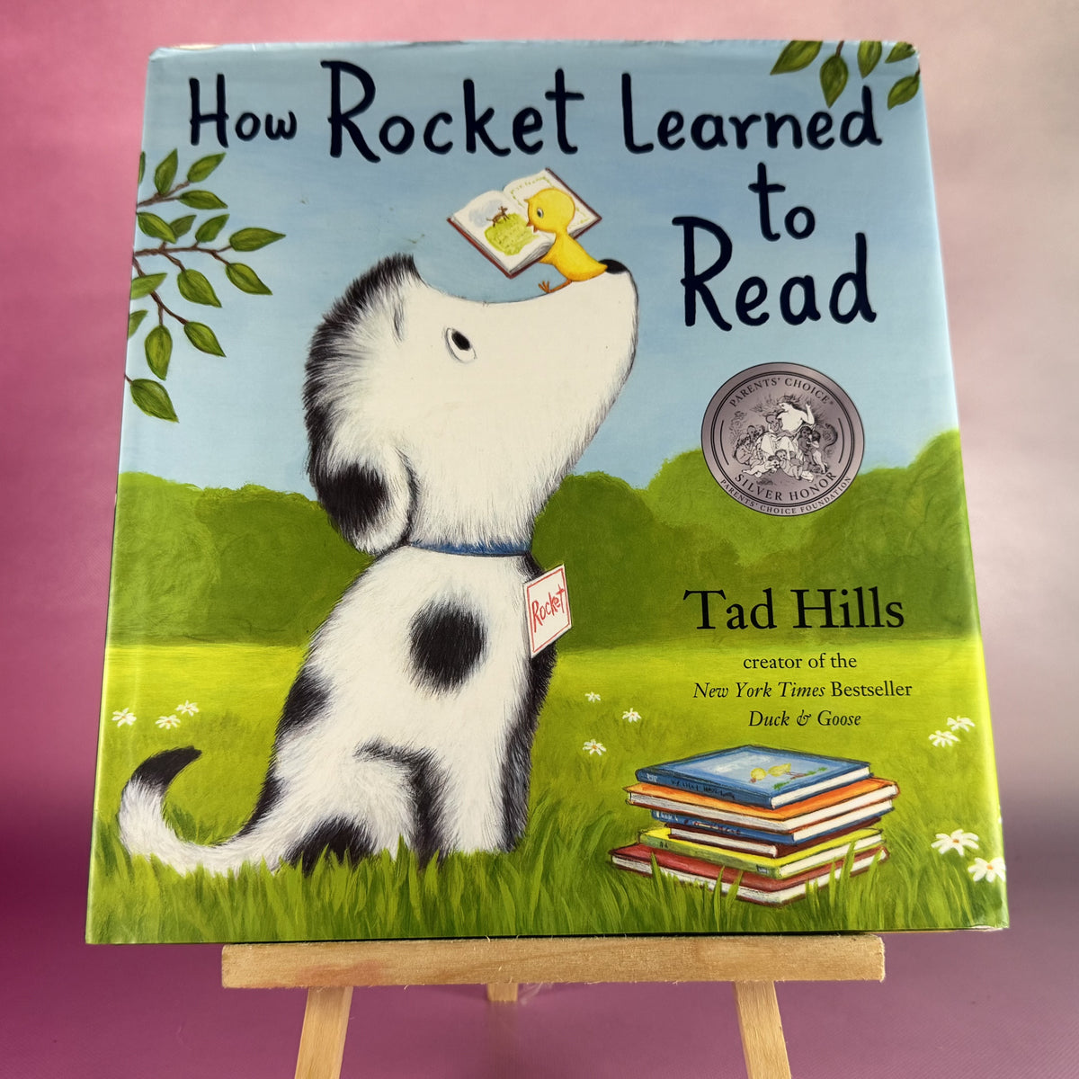 How Rocket Learned to Read