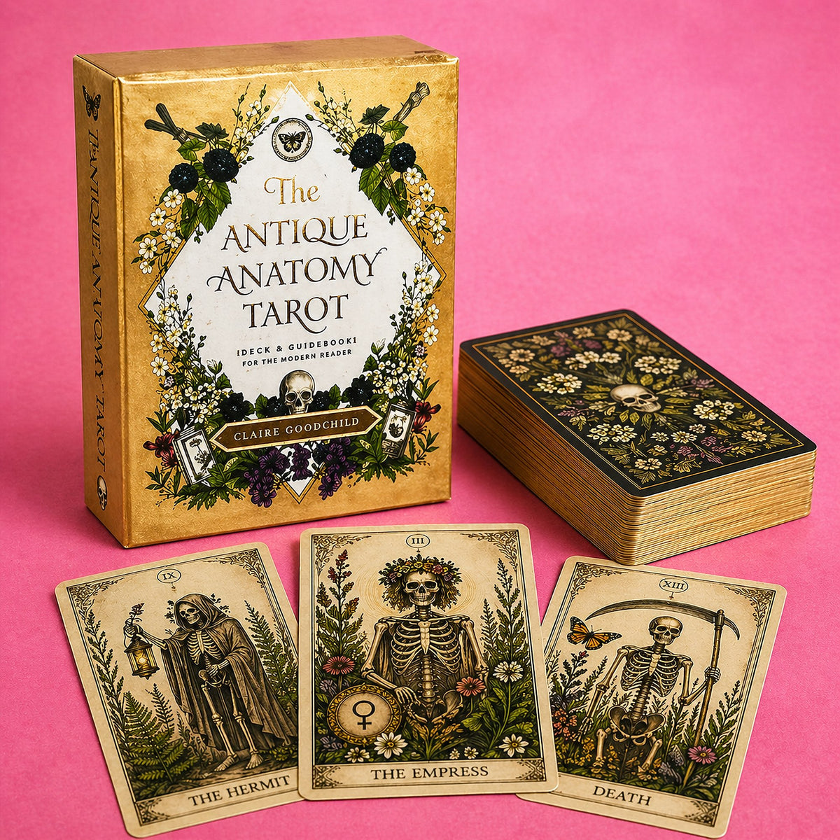 Antique Anatomy Tarot Deck
