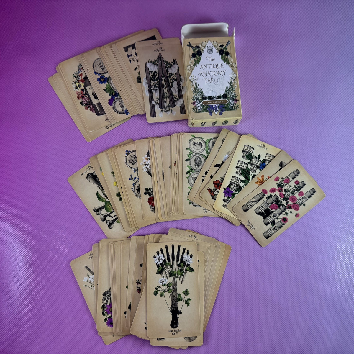 Antique Anatomy Tarot Deck