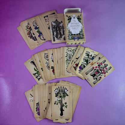 Antique Anatomy Tarot Deck