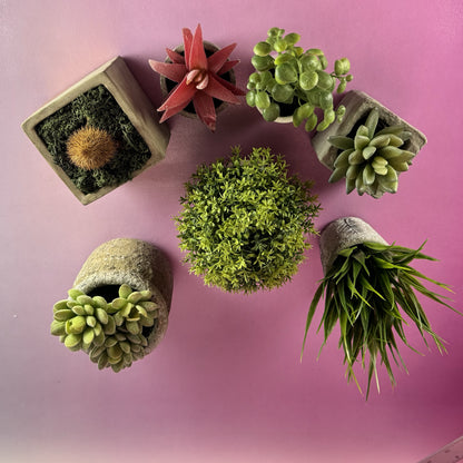 Mix and Match Faux Potted Succulents
