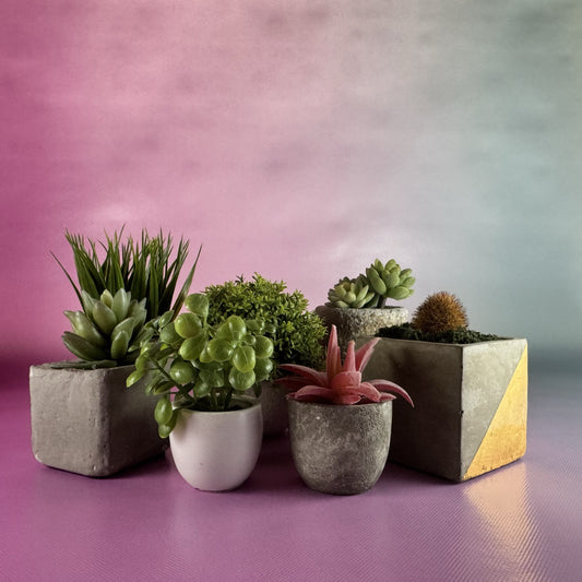 Mix and Match Faux Potted Succulents