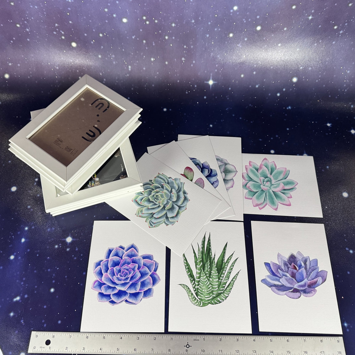 Set of 8 Succulent Prints and White Frames