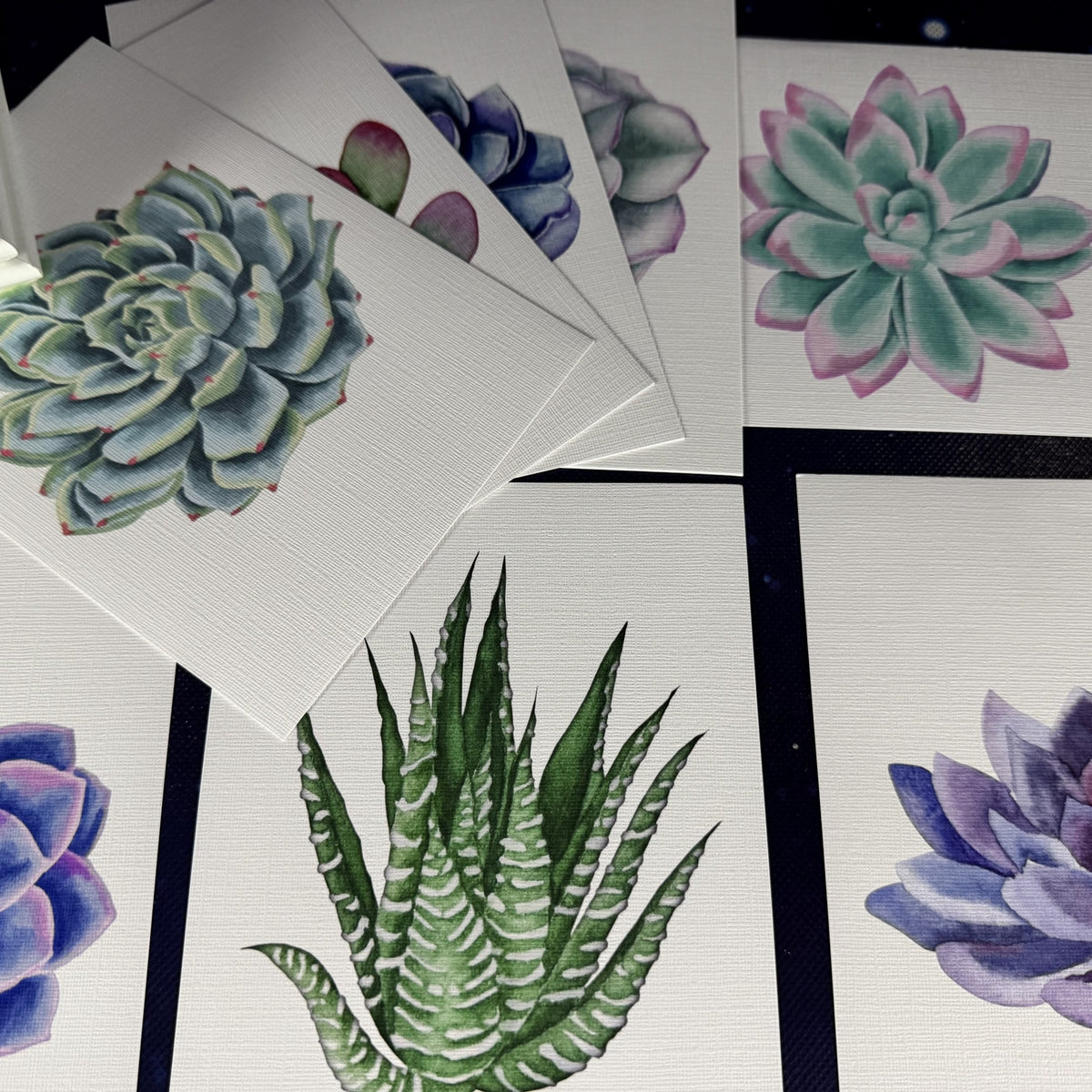 Set of 8 Succulent Prints and White Frames