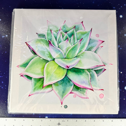 Set of 4 Stretched Canvas Prints of Succulents