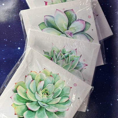 Set of 4 Stretched Canvas Prints of Succulents