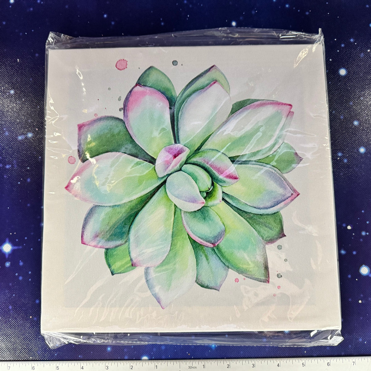 Set of 4 Stretched Canvas Prints of Succulents