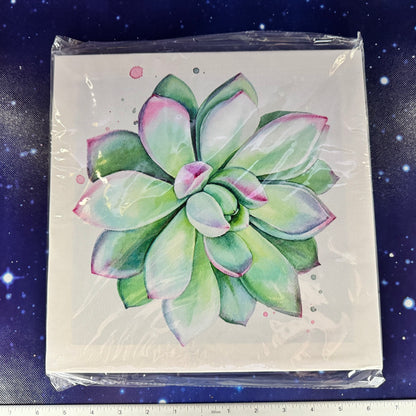 Set of 4 Stretched Canvas Prints of Succulents