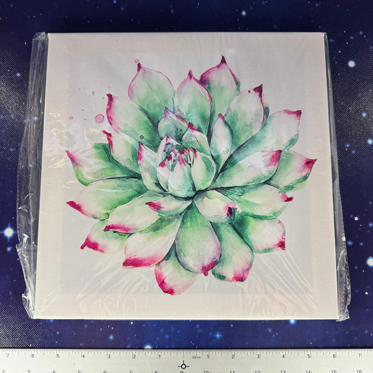 Set of 4 Stretched Canvas Prints of Succulents