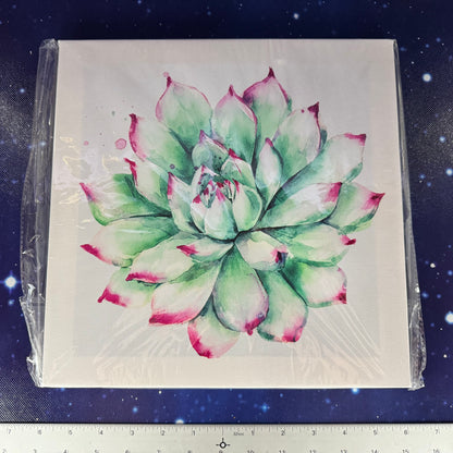 Set of 4 Stretched Canvas Prints of Succulents