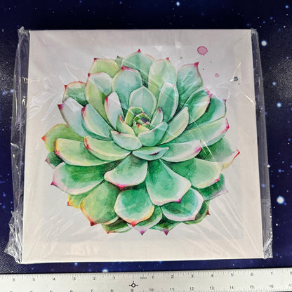 Set of 4 Stretched Canvas Prints of Succulents