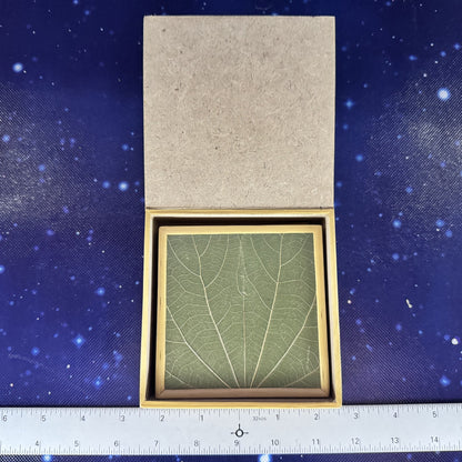 Botanical Leaf Motif Coasters in Lidded Box