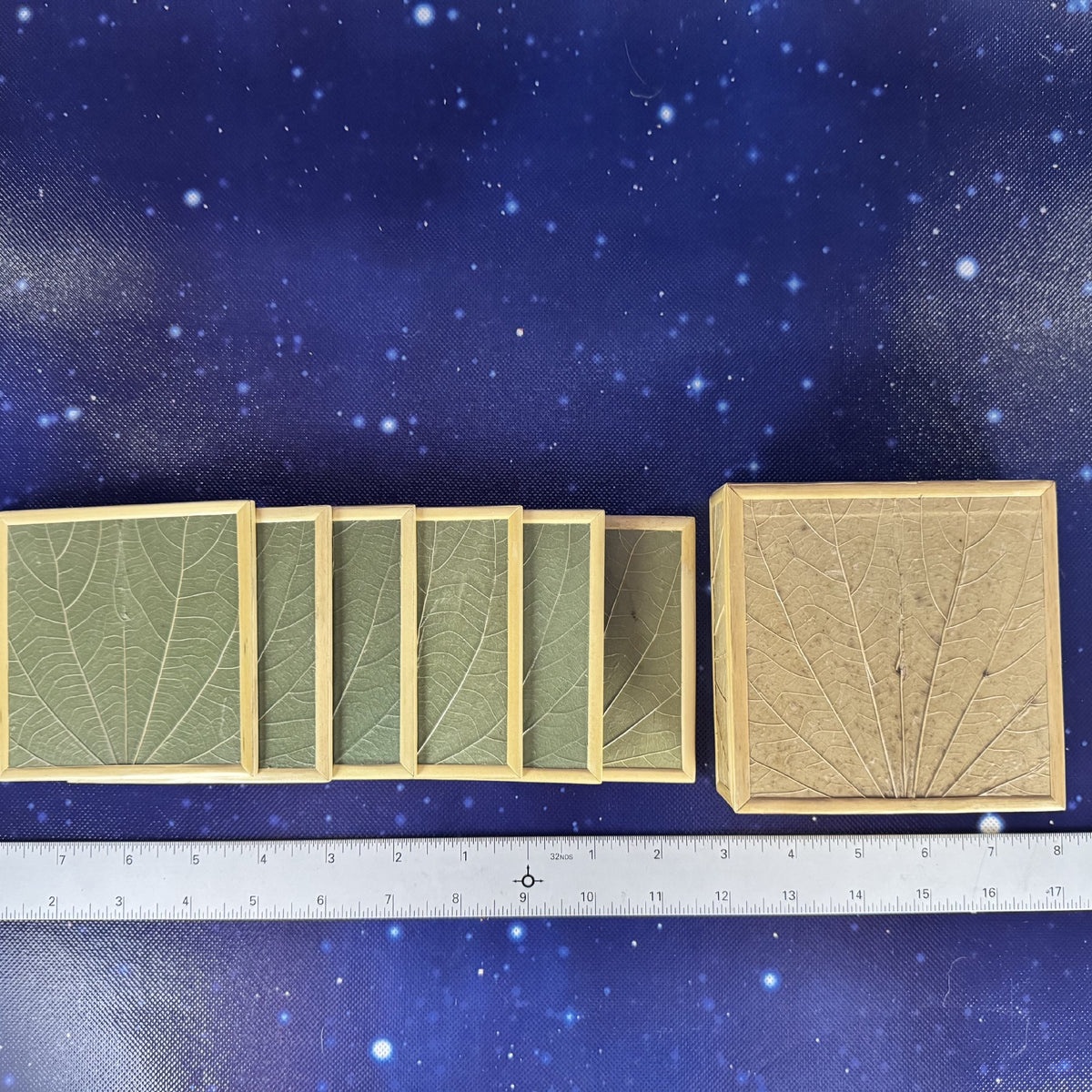 Botanical Leaf Motif Coasters in Lidded Box