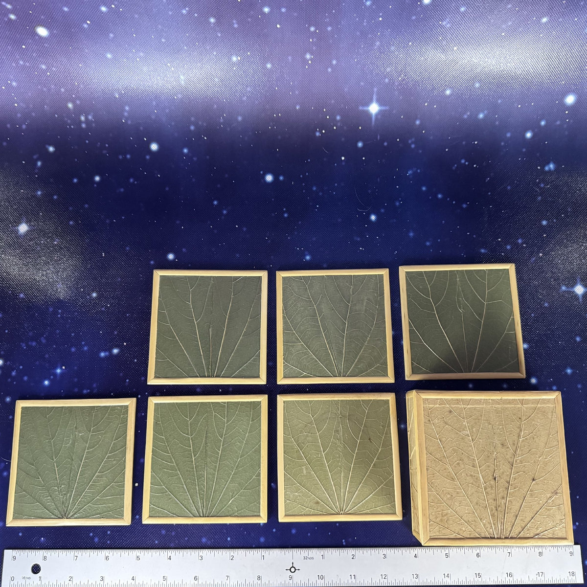 Botanical Leaf Motif Coasters in Lidded Box