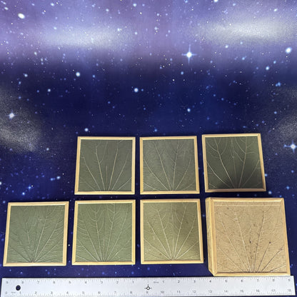 Botanical Leaf Motif Coasters in Lidded Box