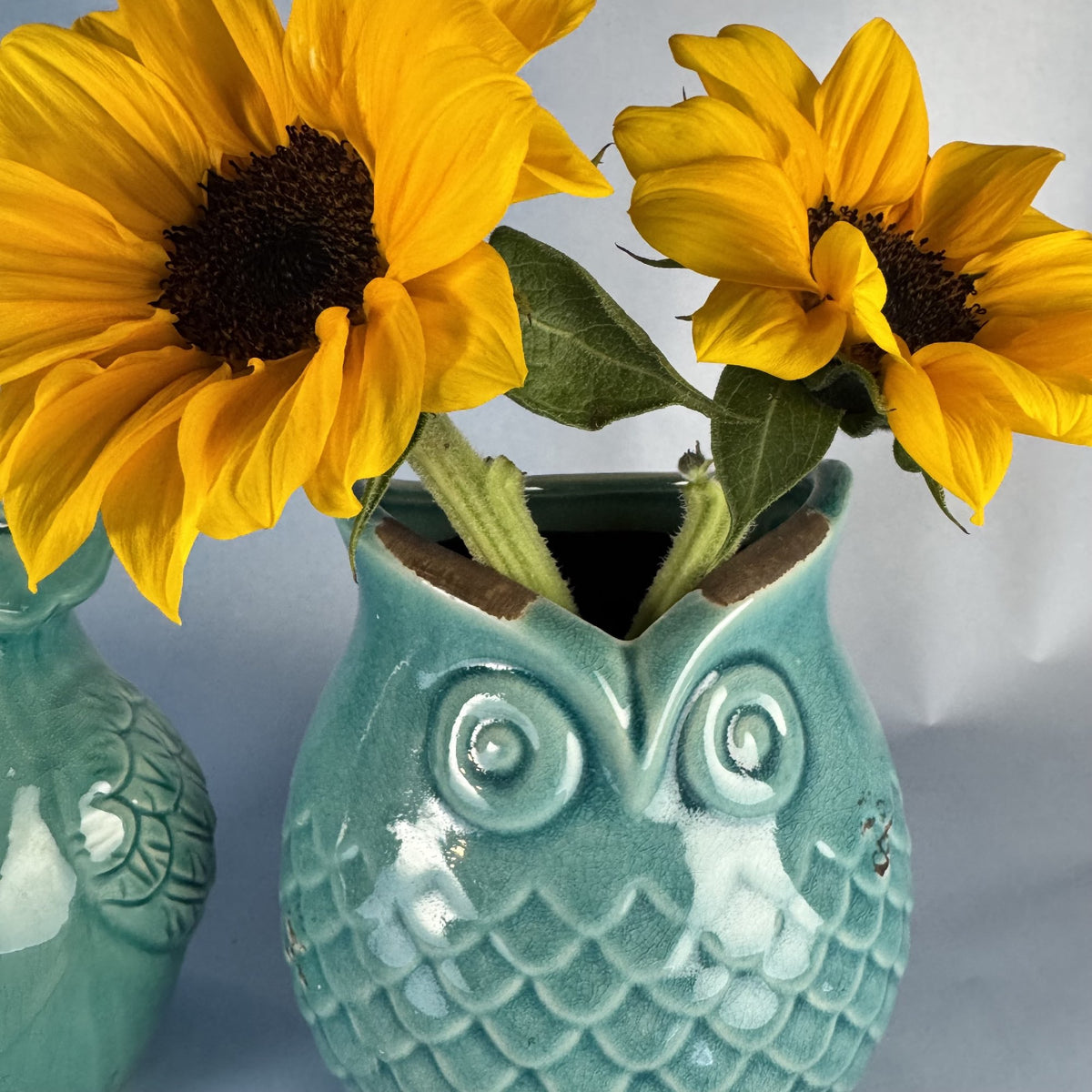 Pair of Turquoise Owl Ceramic Vase and Figurine