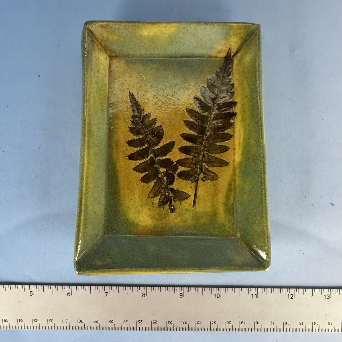 Hand-made, Ceramic Plate with Fern Imprint
