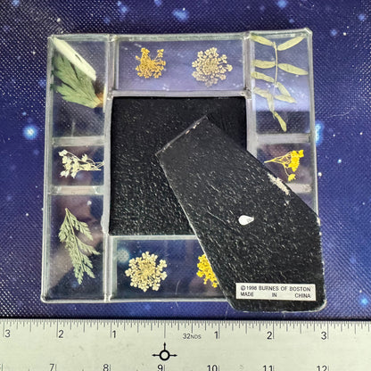 Pressed Flowers in Glass Rustic Frame