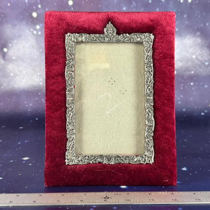 Red Velvet Frame Trimmed in Metal
