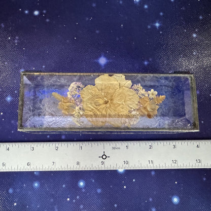 Pressed Flowers in Beveled Cobalt and Clear Glass Jewelry Box