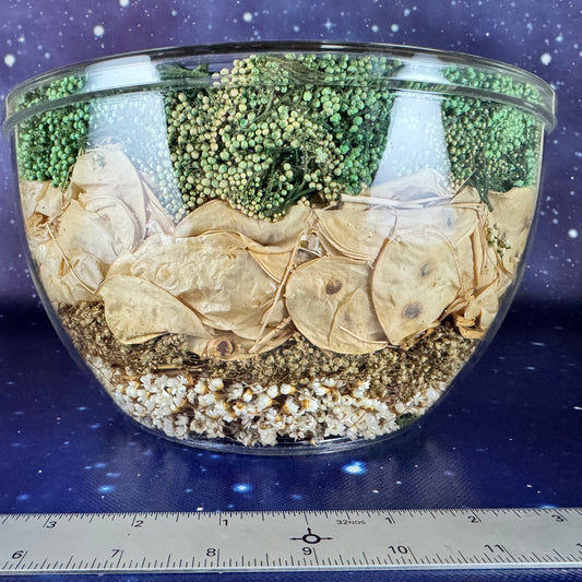 Captured Moss and Botanicals in Lucite Bowl