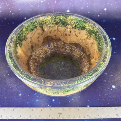 Captured Moss and Botanicals in Lucite Bowl