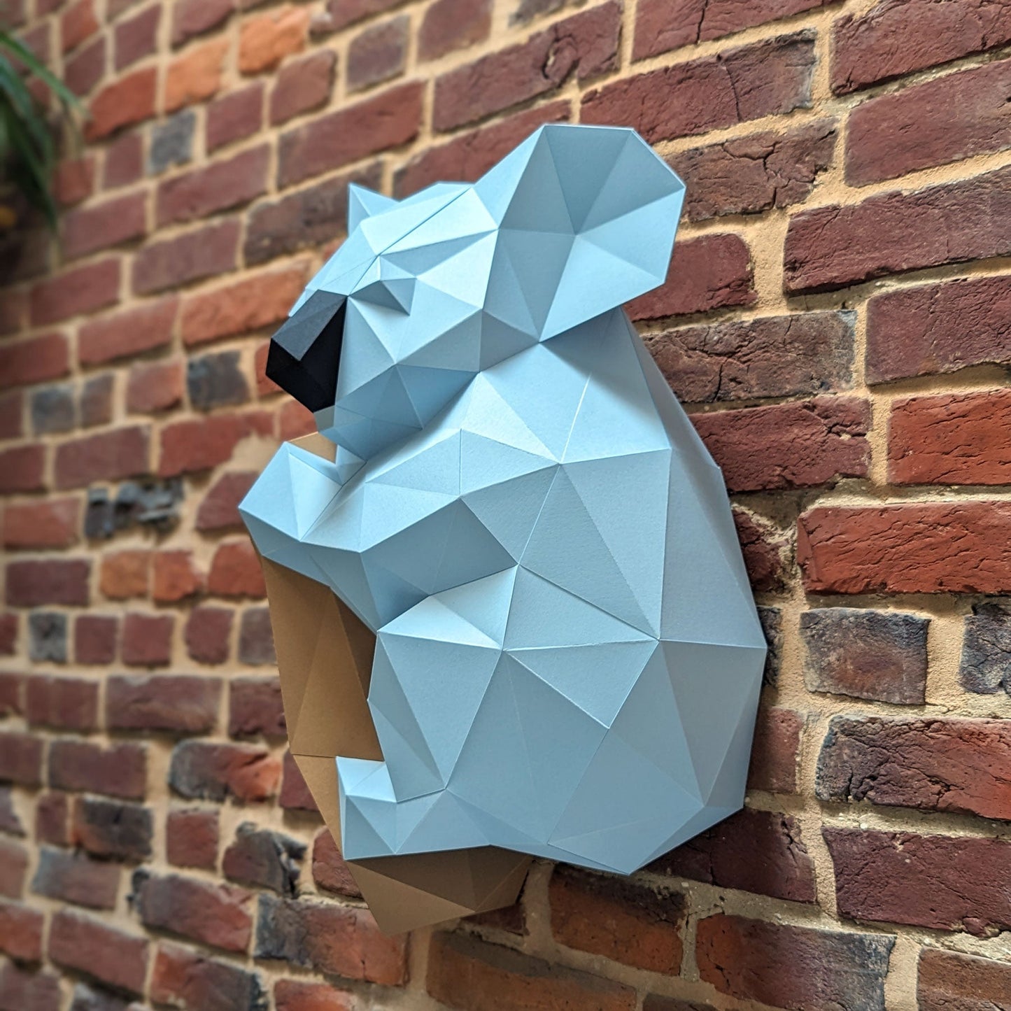 Gwen the Koala