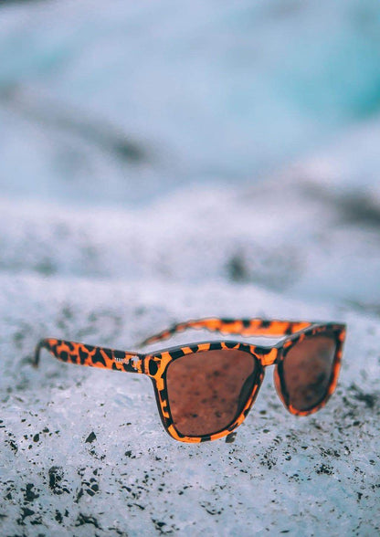 Wayfarer Sunglasses - Foxy Faux Tortoiseshell