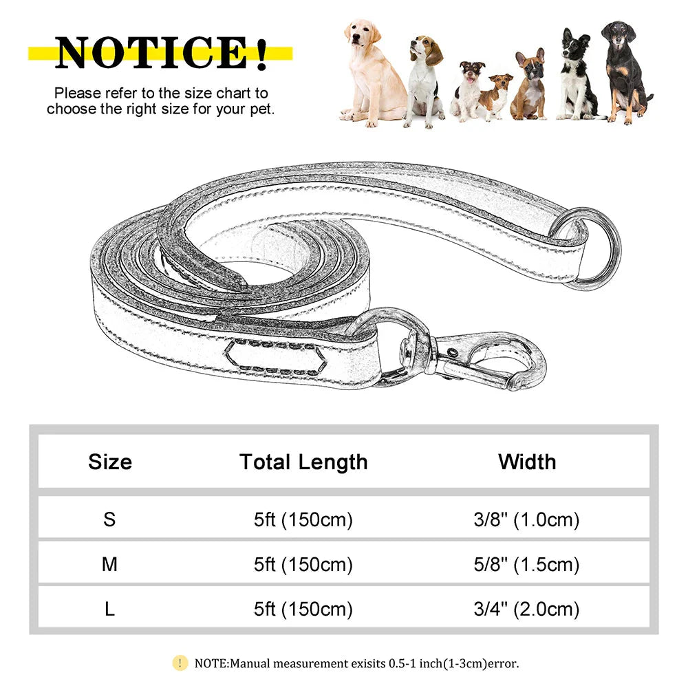 The Classic Leather Leash