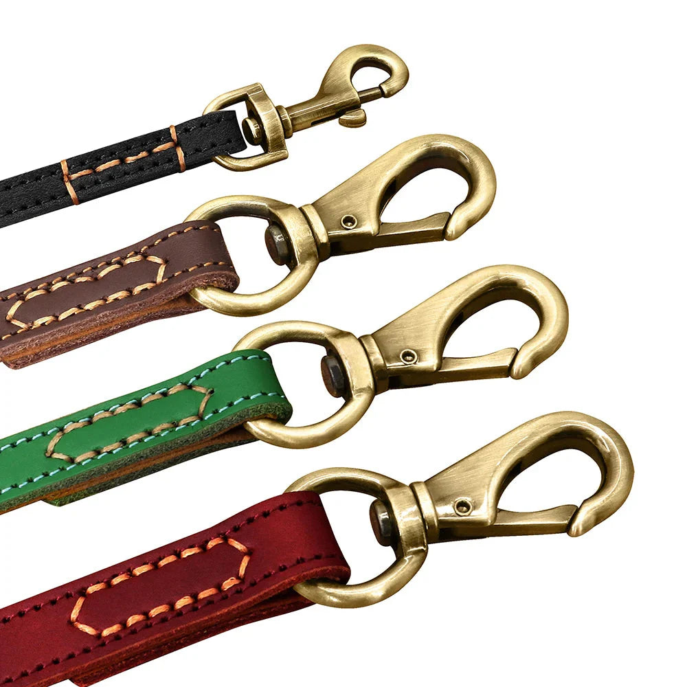 The Classic Leather Leash