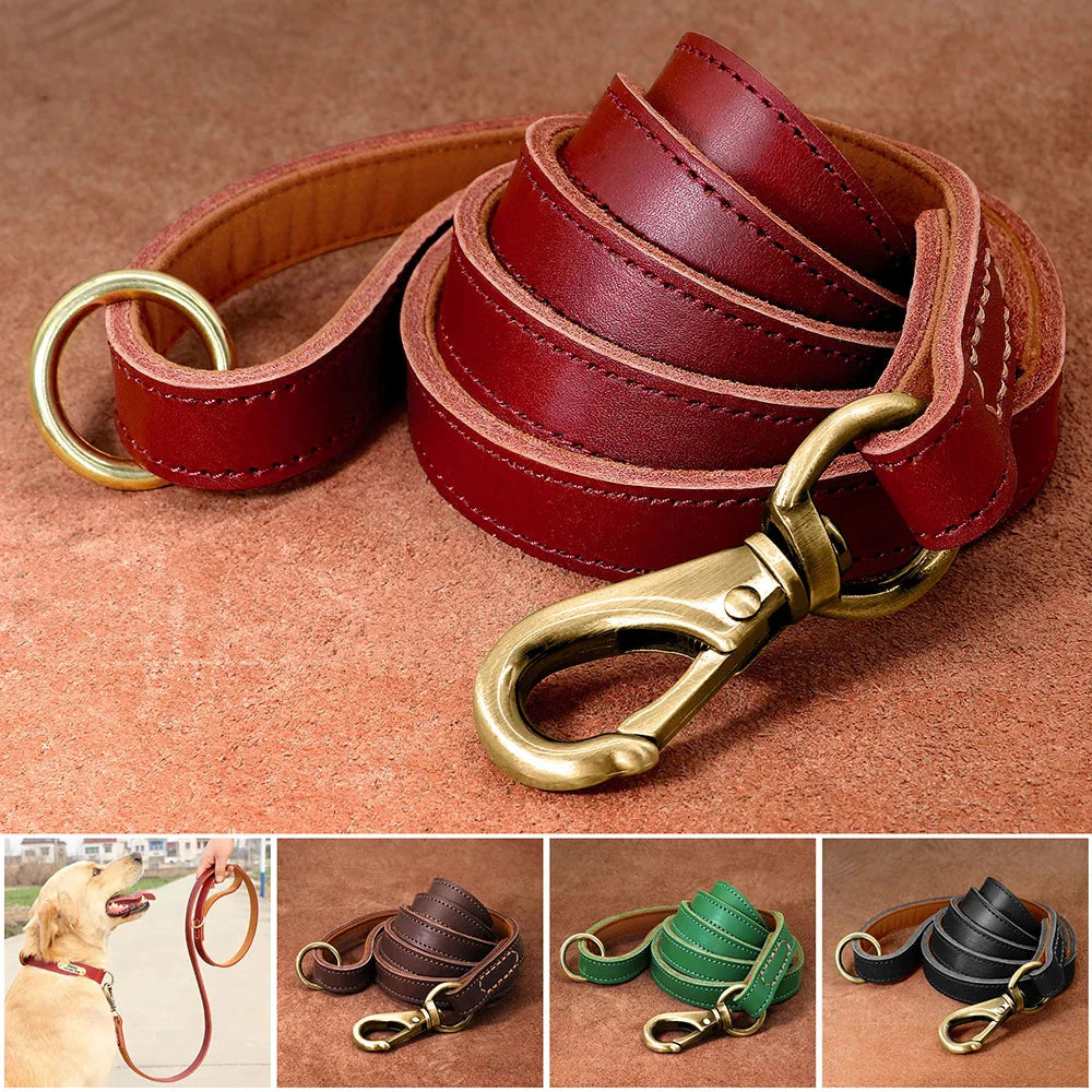 The Classic Leather Leash