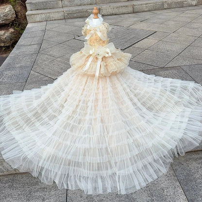 The Midnight Princess Gown