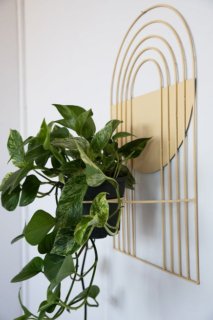 Arches Wall Planter