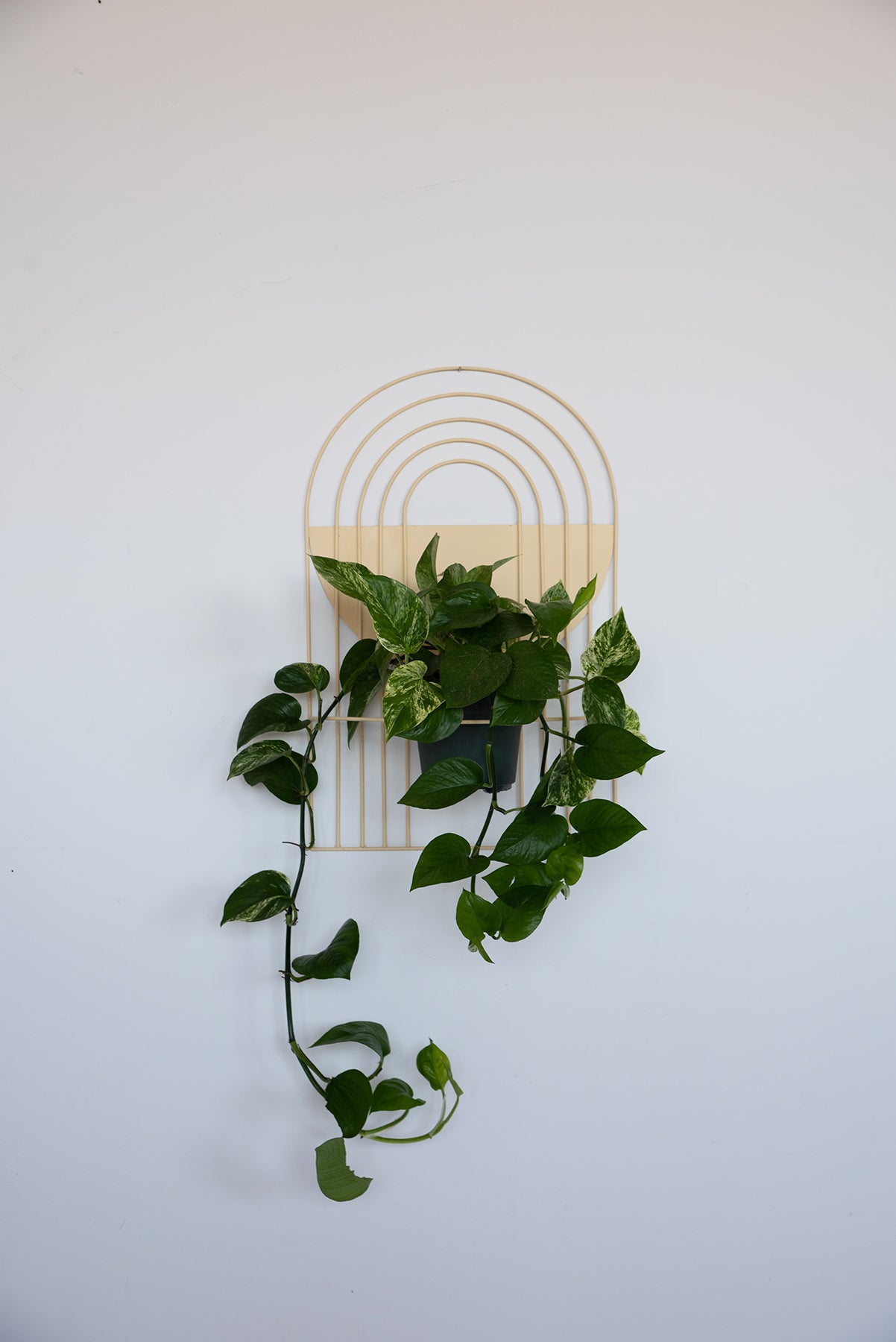 Arches Wall Planter