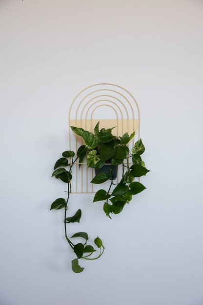 Arches Wall Planter