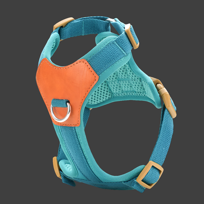 --Retro Pet Harness
