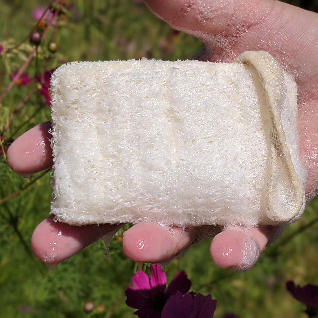 Natural Loofah Dish Scrub Sponges (Set of 3)