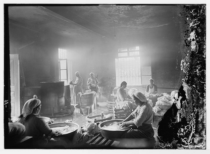 Laundry Detergent Kit - Eco-Friendly