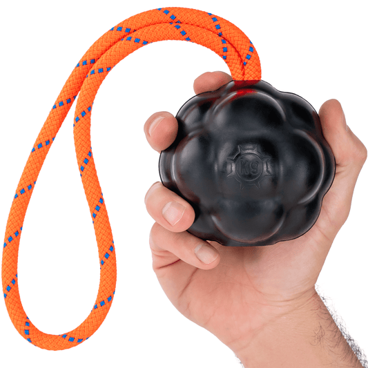 Rumble Rope Ball Pet Toy